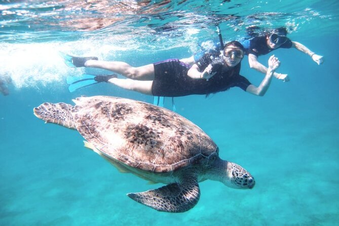 Booking Your Snorkeling Tour in Marsa Alam