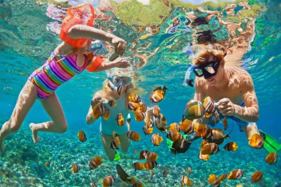 Safety Tips for Snorkeling in Egypt