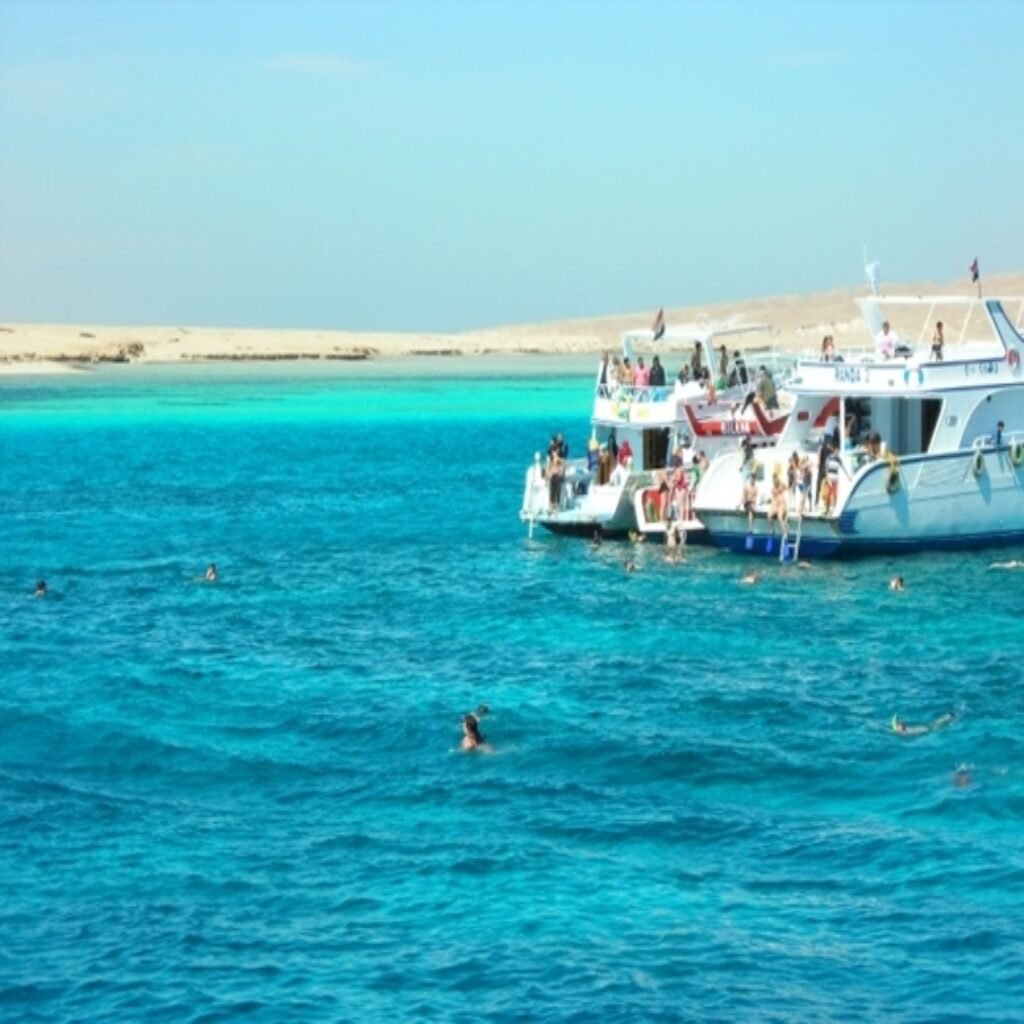 Explore the Underwater World of the Red Sea