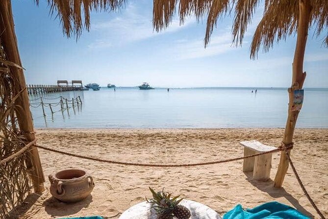 Snorkeling with Fish Wildlife Guide to Orange Bay