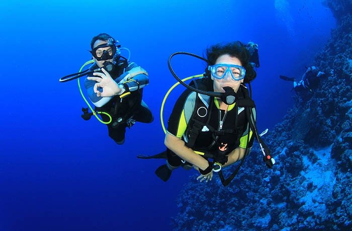 Top Dive Sites and Marine Life