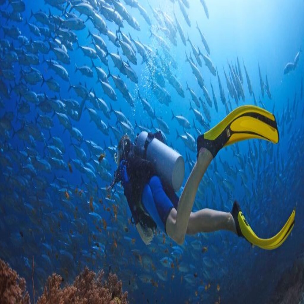 Why Choose Marsa Alam for Diving