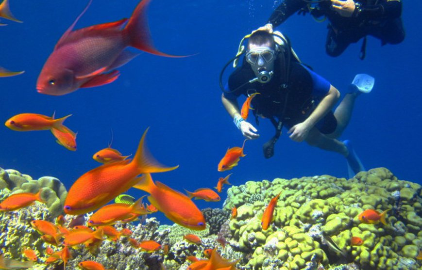 Why Dive in Hurghada