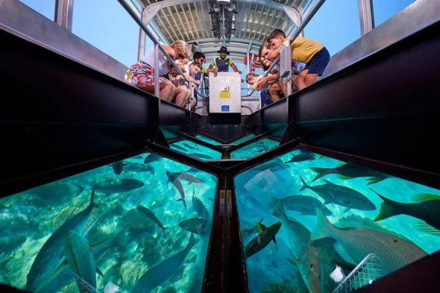Glass Bottom Boat